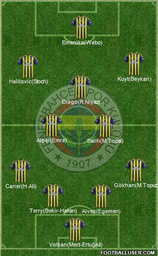 Fenerbahçe SK Formation 2014