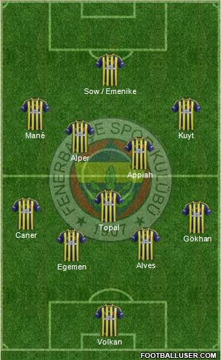 Fenerbahçe SK Formation 2014