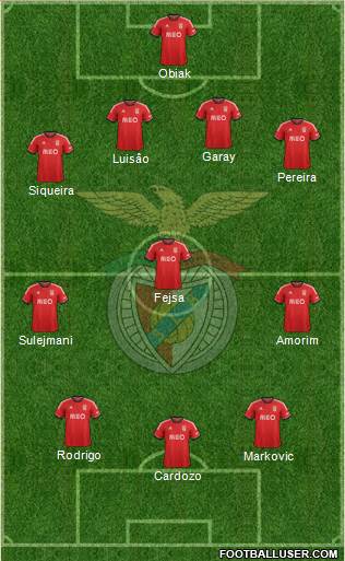 Sport Lisboa e Benfica - SAD Formation 2014