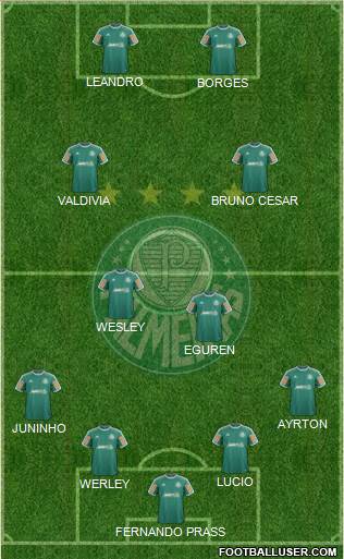 SE Palmeiras Formation 2014