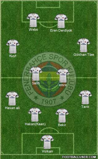 Fenerbahçe SK Formation 2014