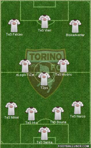 Torino Formation 2014