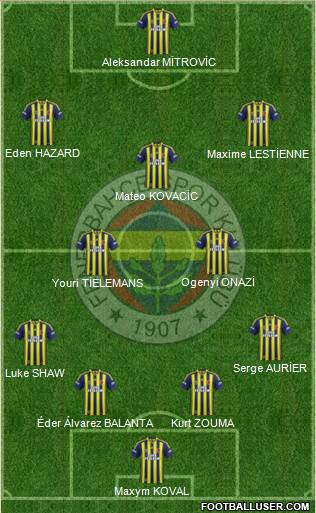 Fenerbahçe SK Formation 2014