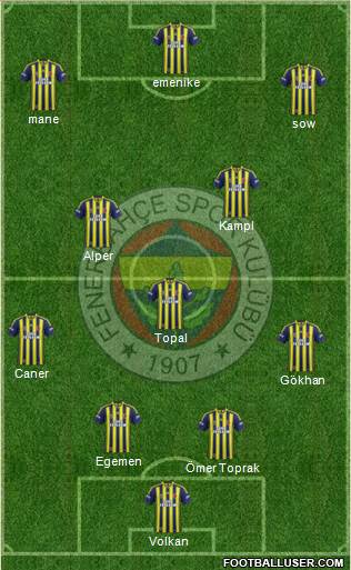 Fenerbahçe SK Formation 2014
