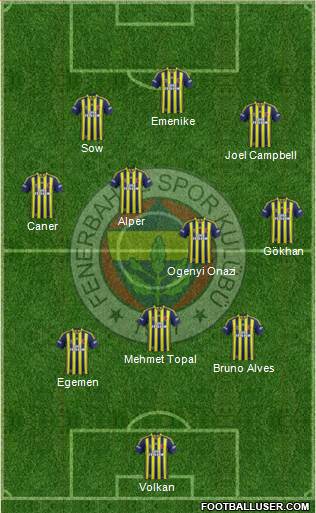 Fenerbahçe SK Formation 2014