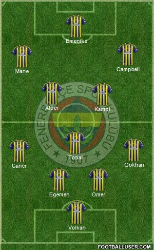 Fenerbahçe SK Formation 2014