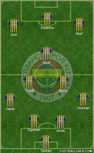 Fenerbahçe SK Formation 2014