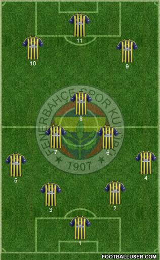 Fenerbahçe SK Formation 2014