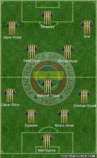 Fenerbahçe SK Formation 2014
