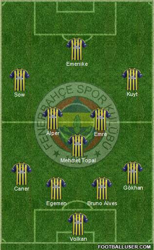 Fenerbahçe SK Formation 2014