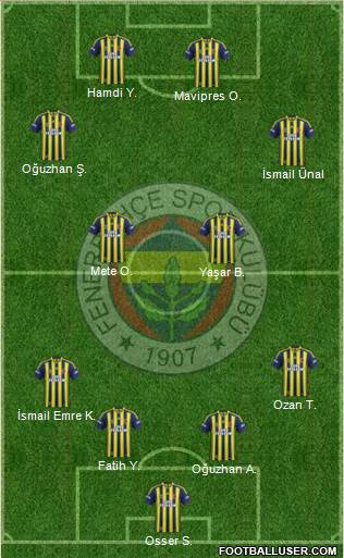 Fenerbahçe SK Formation 2014