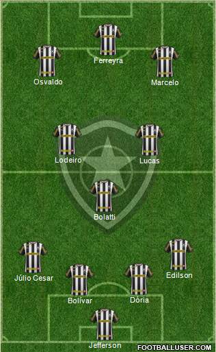 Botafogo FR Formation 2014
