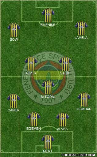 Fenerbahçe SK Formation 2014