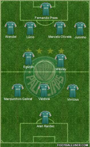 SE Palmeiras Formation 2014