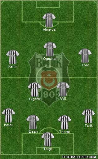 Besiktas JK Formation 2014