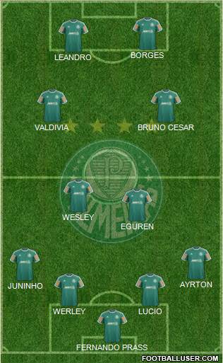 SE Palmeiras Formation 2014