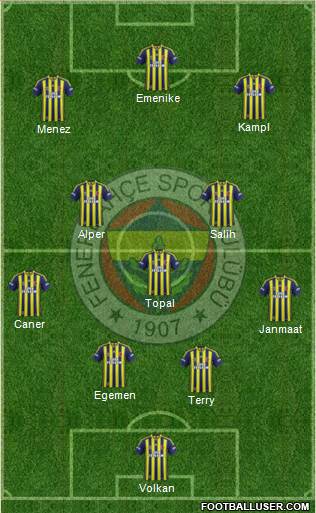 Fenerbahçe SK Formation 2014