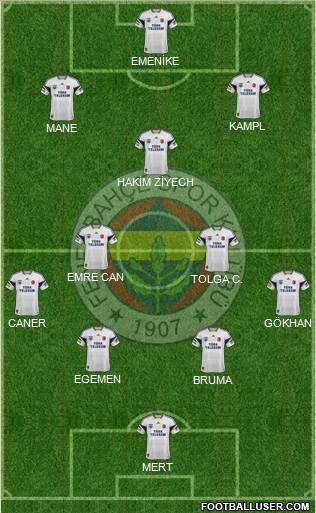 Fenerbahçe SK Formation 2014
