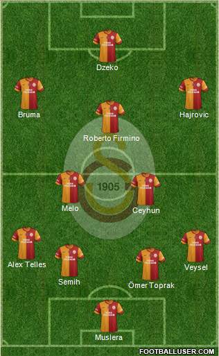 Galatasaray SK Formation 2014