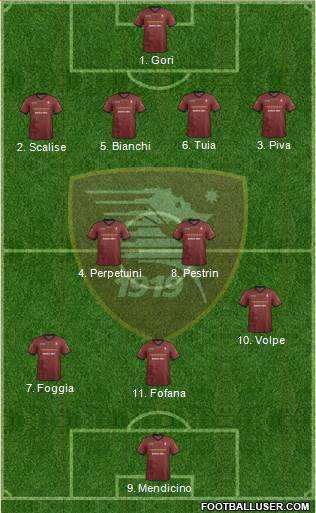 Salernitana Formation 2014