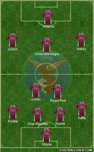 Alma Juventus Fano Formation 2014