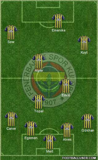 Fenerbahçe SK Formation 2014