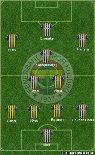 Fenerbahçe SK Formation 2014