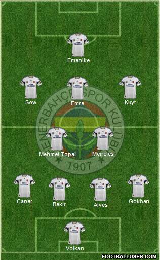 Fenerbahçe SK Formation 2014