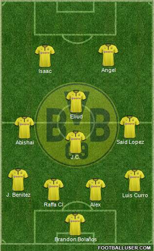 Borussia Dortmund Formation 2014