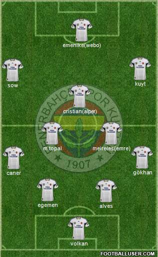 Fenerbahçe SK Formation 2014