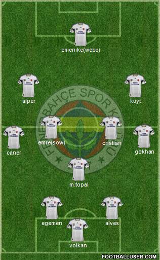 Fenerbahçe SK Formation 2014