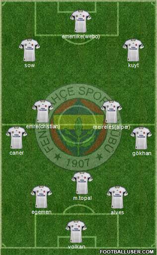 Fenerbahçe SK Formation 2014