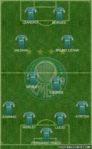 SE Palmeiras Formation 2014