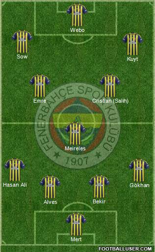 Fenerbahçe SK Formation 2014