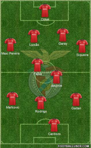 Sport Lisboa e Benfica - SAD Formation 2014