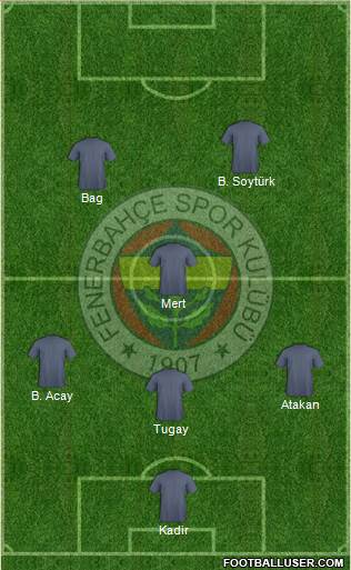 Fenerbahçe SK Formation 2014