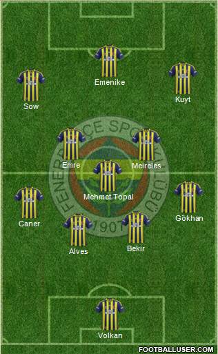 Fenerbahçe SK Formation 2014