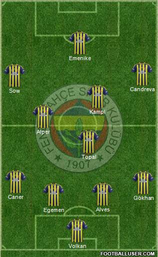 Fenerbahçe SK Formation 2014