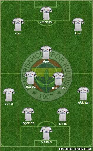Fenerbahçe SK Formation 2014