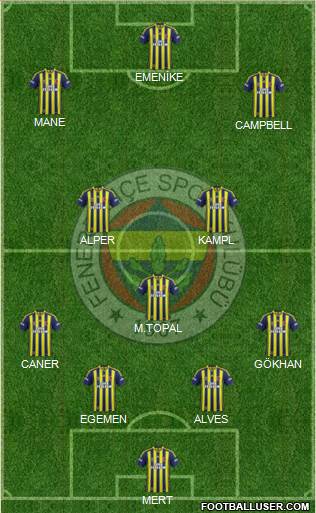 Fenerbahçe SK Formation 2014