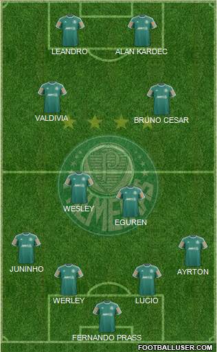 SE Palmeiras Formation 2014
