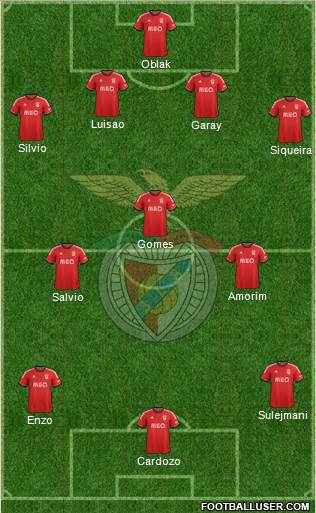 Sport Lisboa e Benfica - SAD Formation 2014