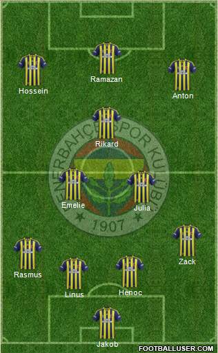 Fenerbahçe SK Formation 2014