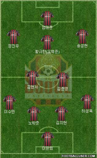 FC Seoul Formation 2014