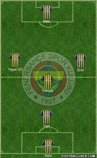 Fenerbahçe SK Formation 2014