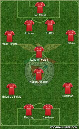 Sport Lisboa e Benfica - SAD Formation 2014