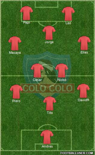 CSD Colo Colo Formation 2014