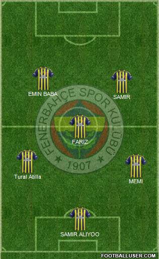Fenerbahçe SK Formation 2014