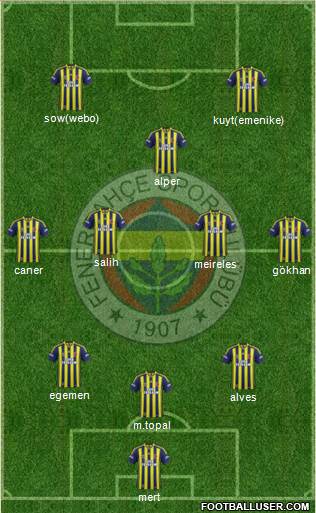 Fenerbahçe SK Formation 2014