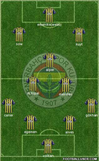 Fenerbahçe SK Formation 2014